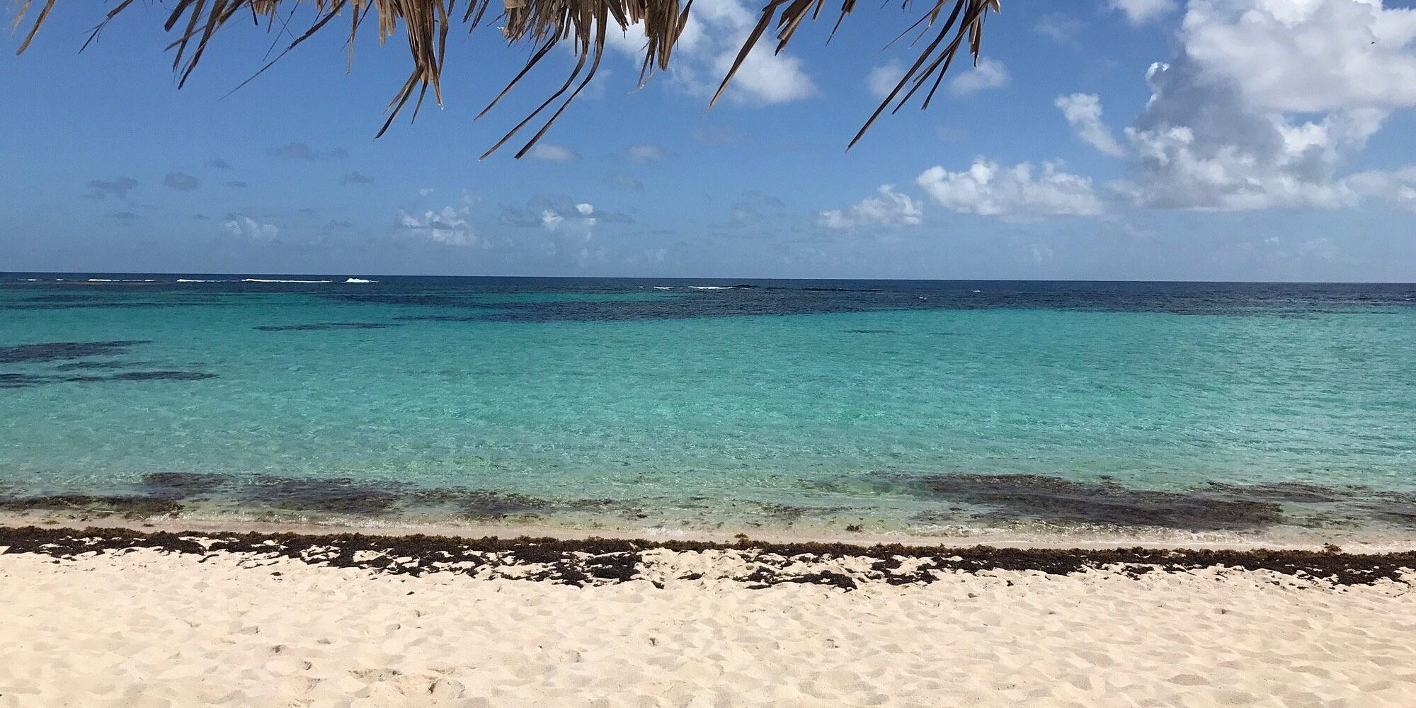 Crystal Calm, Loblolly Beach on Anegada Island